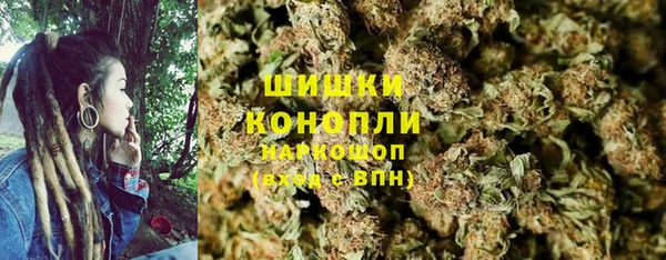 трава Магас