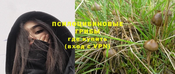трава Магас