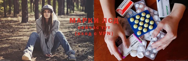 трава Магас