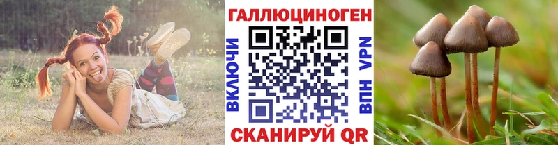 нарко площадка наркотические препараты  Заозёрный  Галлюциногенные грибы Psilocybine cubensis 
